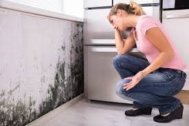 Best Residential Mold Inspection & Testing  in Manning, IA